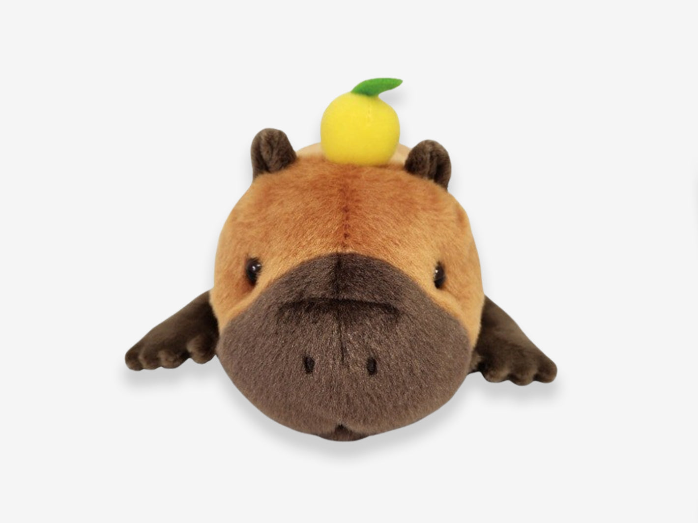 Animal Pen Pouch Capibara