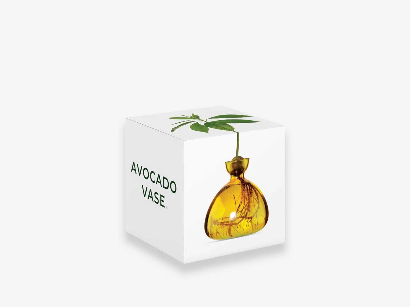Avocado Vase Mellow Yellow