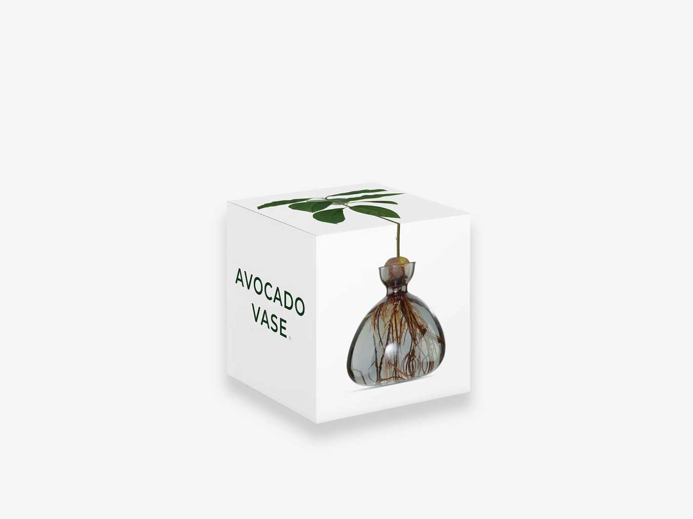 Avocado Vase Smoke Grey