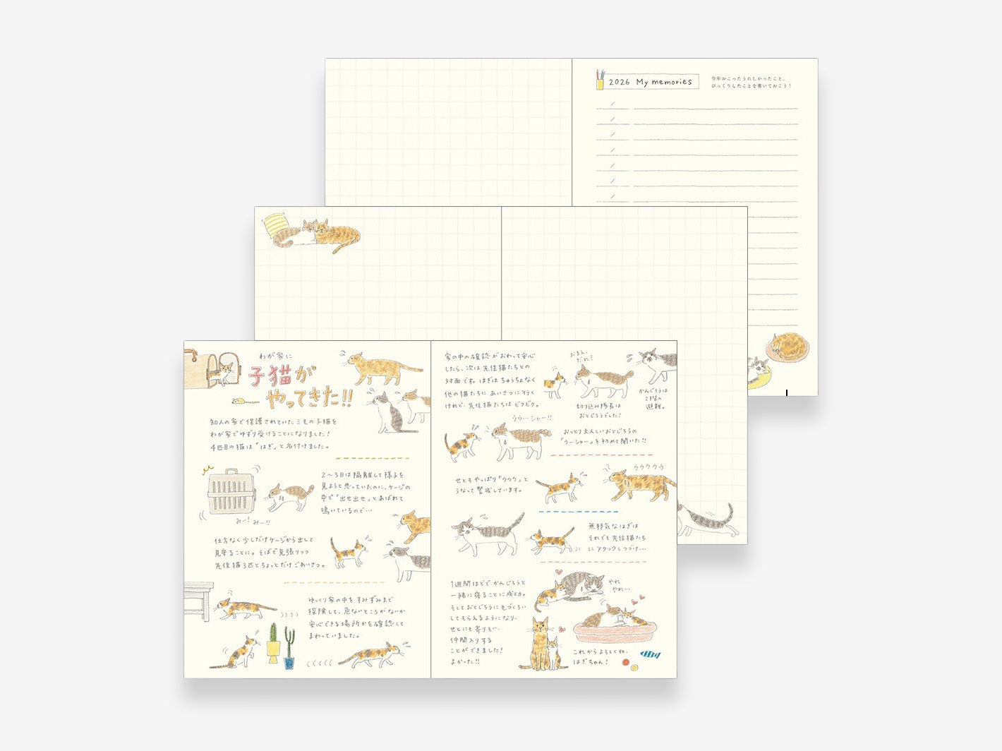 2026 Pocket Diary A6 Cat
