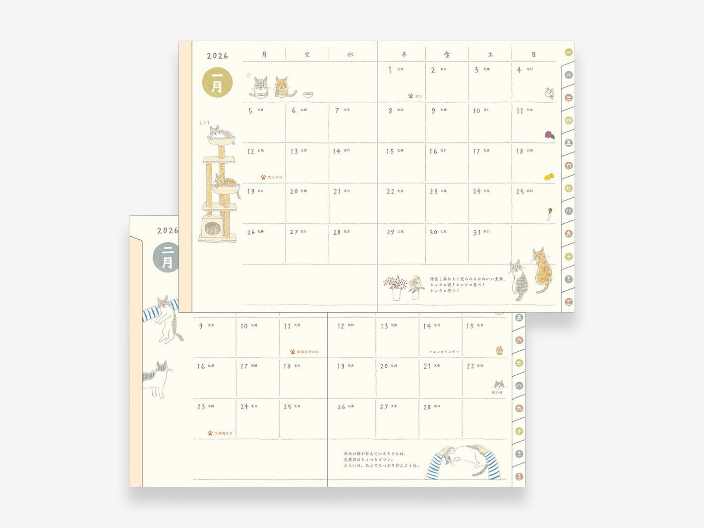 2026 Pocket Diary A6 Cat