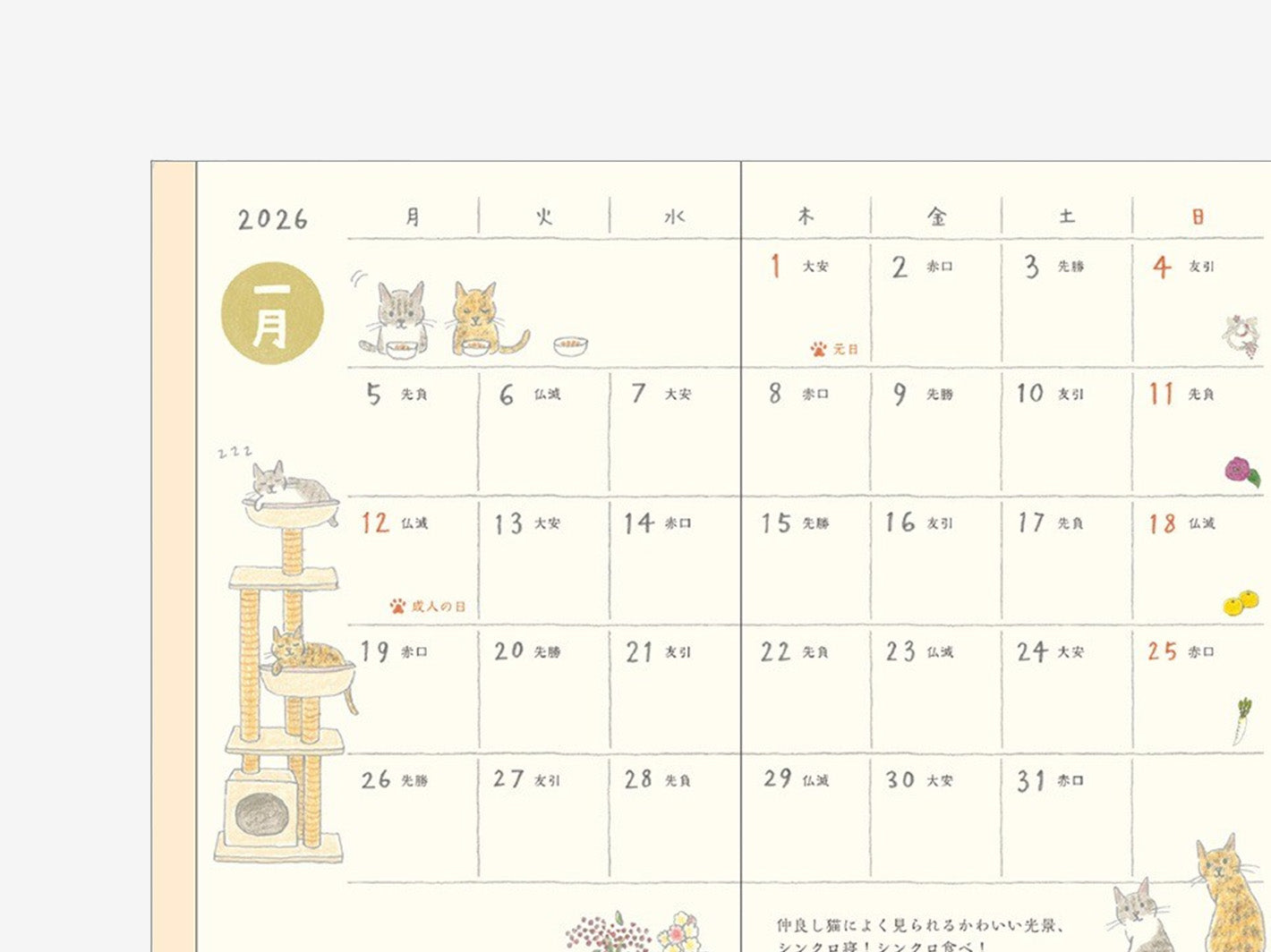 2026 Pocket Diary Mini Cat