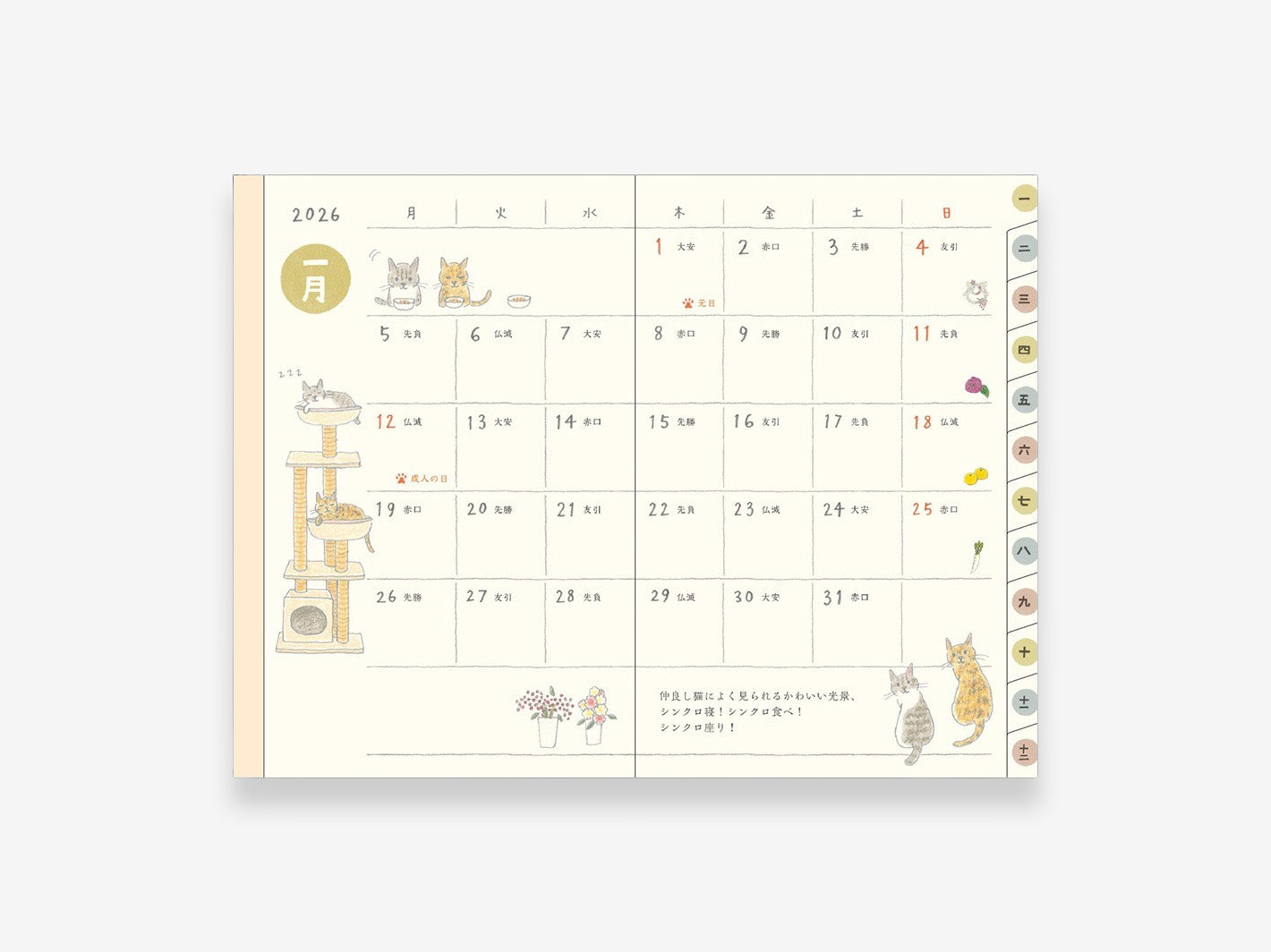 2026 Pocket Diary Mini Cat
