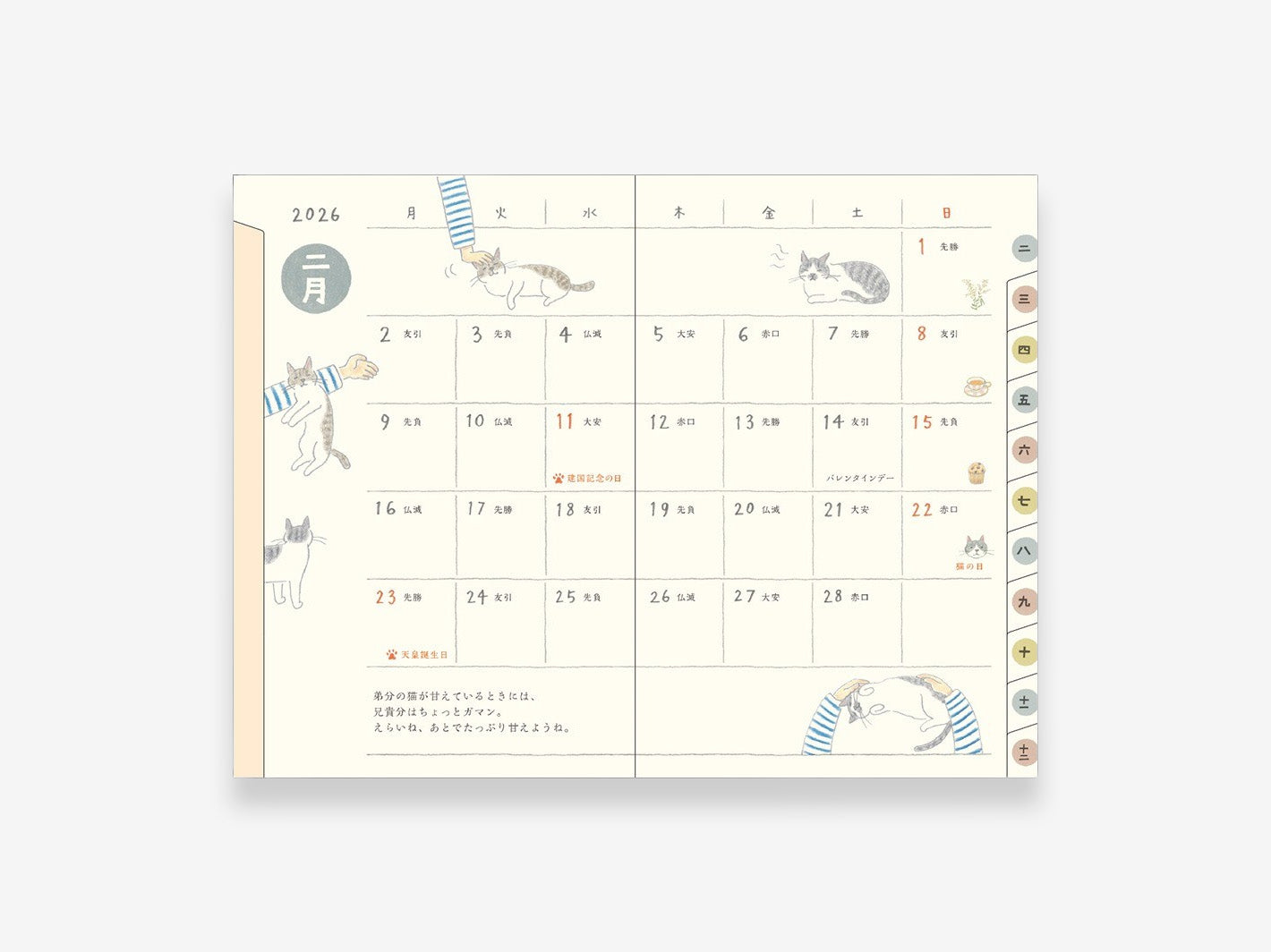 2026 Pocket Diary Mini Cat
