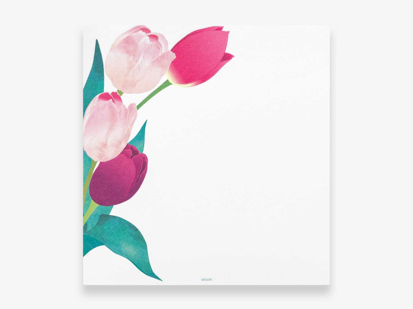 Kami Series Tulip Letter Pad