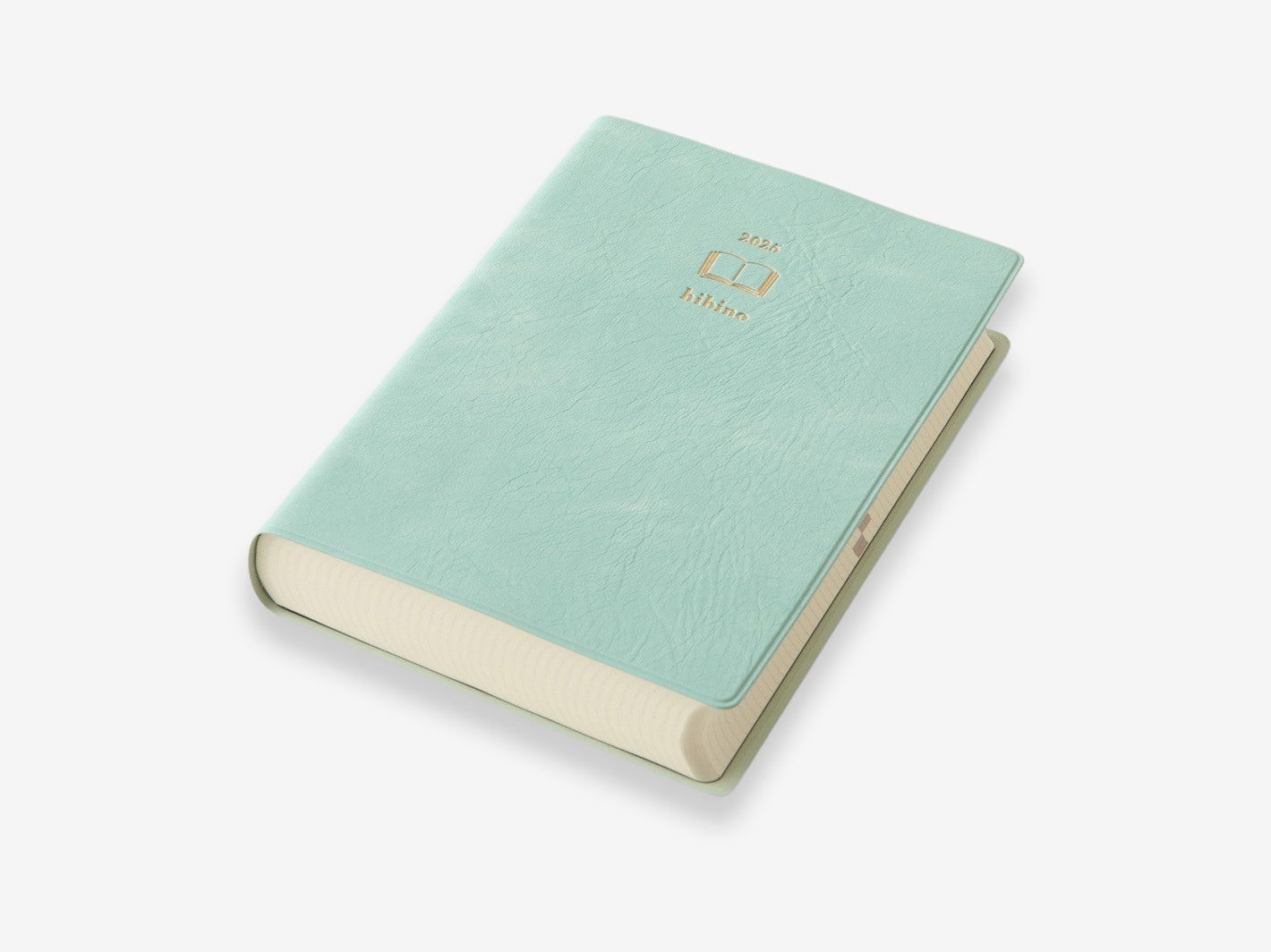 2025 Diary Hibino A6 Blue Green