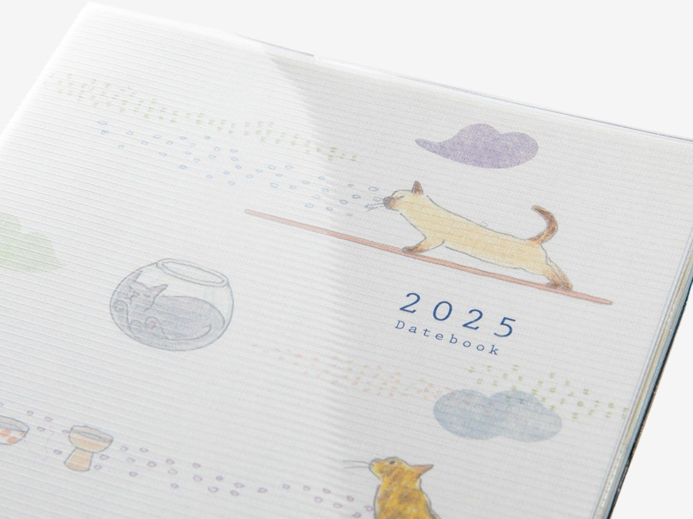 2025 Pocket Diary A6 Cat