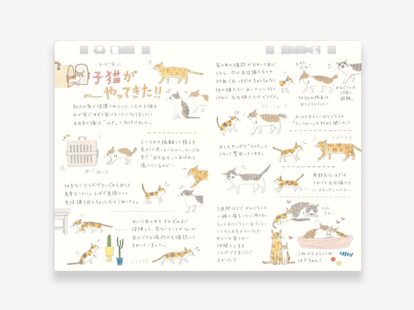 2026 Desk Calendar M Cat