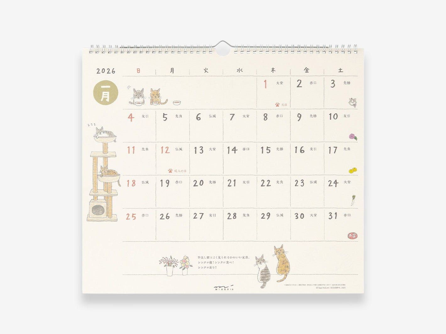 2026 Wall Hanging Calendar L Cat
