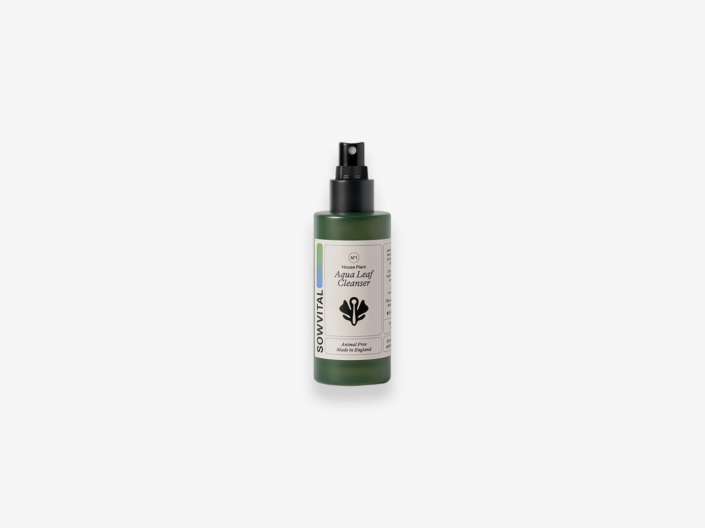 House Plant Aqua Leaf Cleanser 100ml