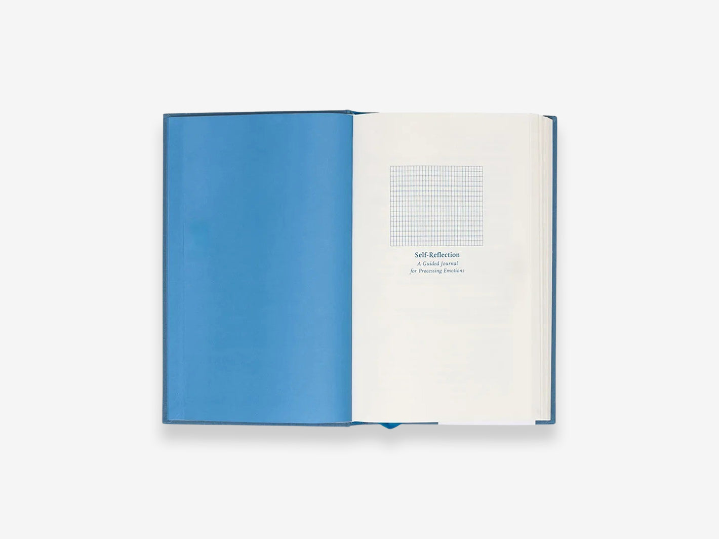 Self-Reflection Journal