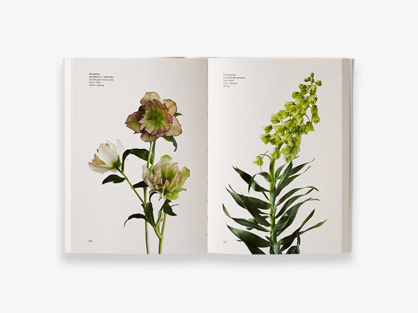 Flowercolor Guild PHAIDON Flower Colour Guide | Misc Store Amsterdam