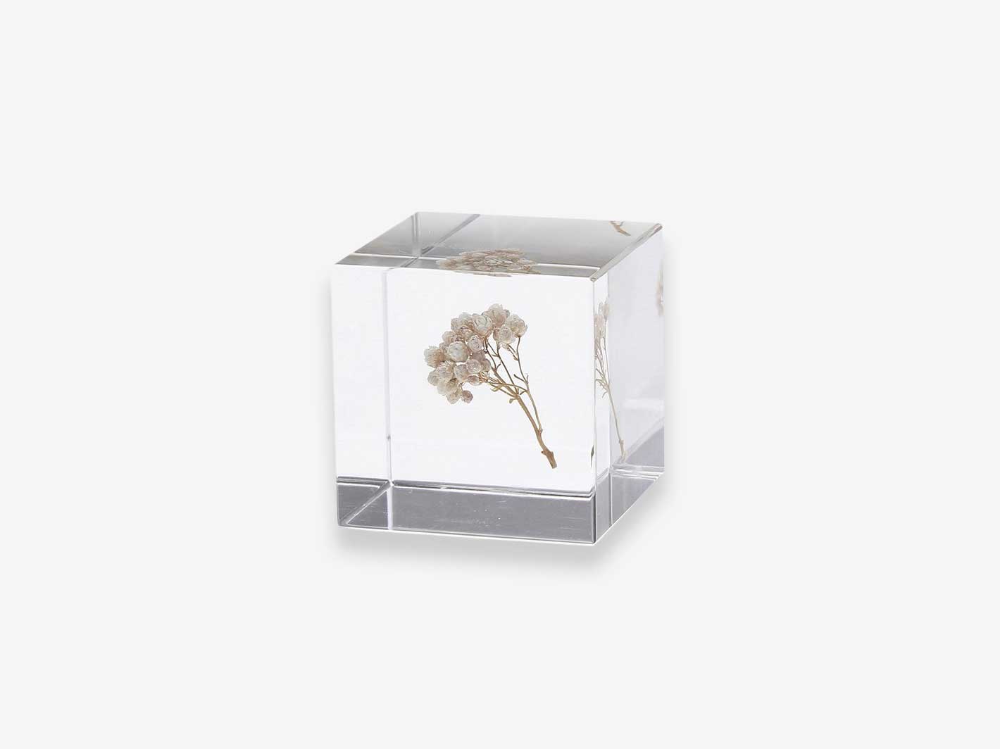 Rice Flower Cube
